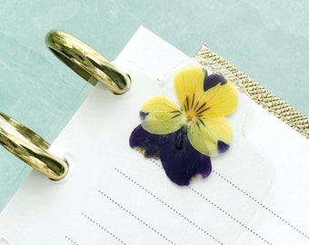 Yellow Viola Pressed Flower Bookmark  // Pansy Real Pressed Flowers for Discbound Planners or Spiral Planners // Bitty Bloom Bookmarks