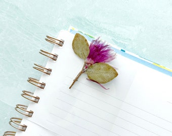 Loropetalum Pressed Flower Bookmark  // Real Pressed Flowers for Discbound Planners or Spiral Planners // Bitty Bloom Bookmarks