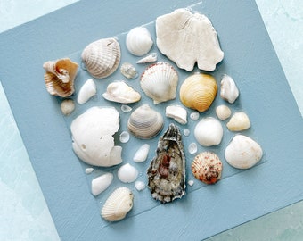 Seashell Art on Canvas, Pensacola Beach Seashell Art, Coastal Decor, Shell Wall Art, Seashell Framed Art, Beach Decor, Beach House Decor