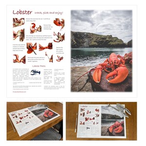 How to Eat a Lobster Placemat - A3 Paper or Laminated