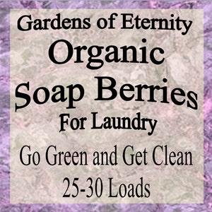 Soap Berries Laundry Cleaner Organic Nuts image 3