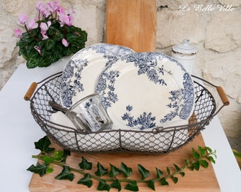 2 vintage transferware plates -  Set of 2 ironstone dinner plates - Antique blue floral pattern - 1800s Jemmapes off-white tableware