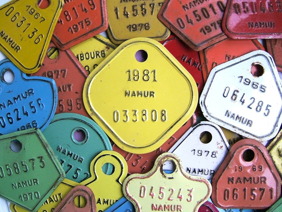 ビンテージ ベルギー ナンバープレート il_1080xN.888438149_h9l5.jpg