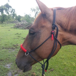 Caddy | rope sidepull halter bitless bridle