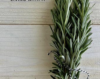 Rosmarin Wachsende Anleitung | Kräutergarten Ebook PDF | Ernte, Konservierung & Kulinarische Verwendung | 51 Seiten