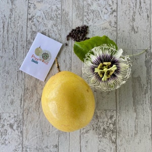Yellow PassionFruit Seed (Passiflora edulis edulis) / Maracuya Amarillo / Parchita Amarilla / Chinola