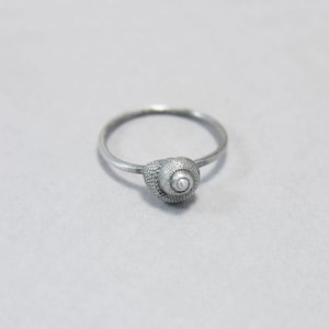 Könnte beinhalten: Ein silberner Ring mit einem detaillierten Muschel-Design.