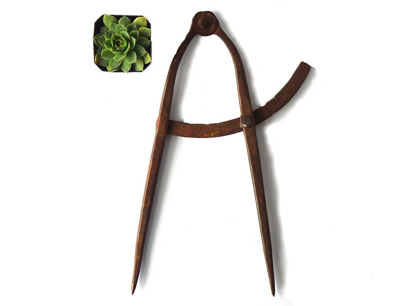Tool Hand Forged Rustic Home Decor Antique Caliper Compass Wing Divider