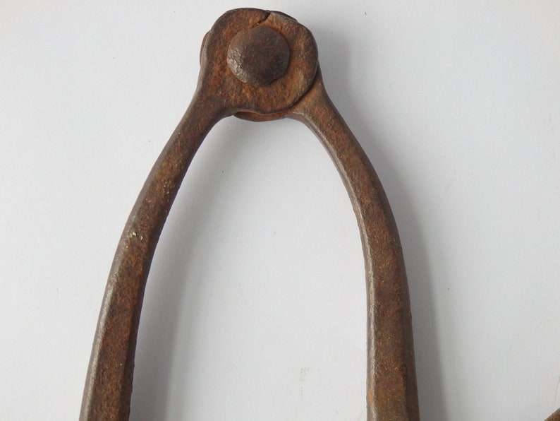Tool Hand Forged Rustic Home Decor Antique Caliper Compass Wing Divider
