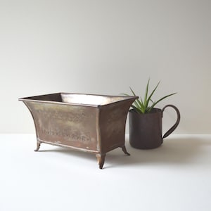 May include: A rectangular, bronze-colored planter with curved sides and small feet. A dark brown mug with a handle holds a green plant with long, thin leaves. The objects are on a white surface.
