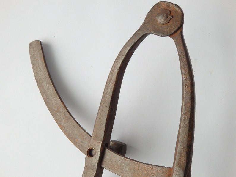 Tool Hand Forged Rustic Home Decor Antique Caliper Compass Wing Divider
