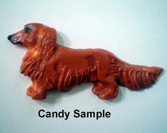 Longhaired Dachshund Chocolate Mold Dachshund Long Haired Etsy
