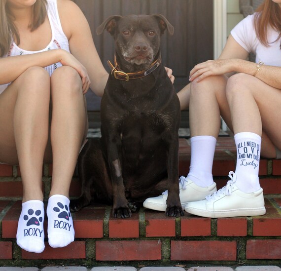 pets printed on socks