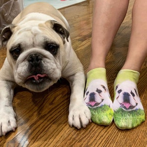 Your Pet Photo Printed on No Show Socks, Custom Photo Socks with a Full Face Printed on the Top of No Show Socks, Fun Gift Socks