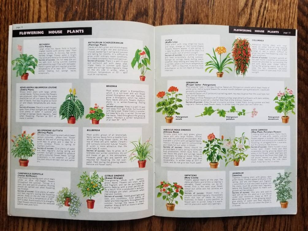 Vintage houseplant books set of 3 Indoor Houseplants house plant