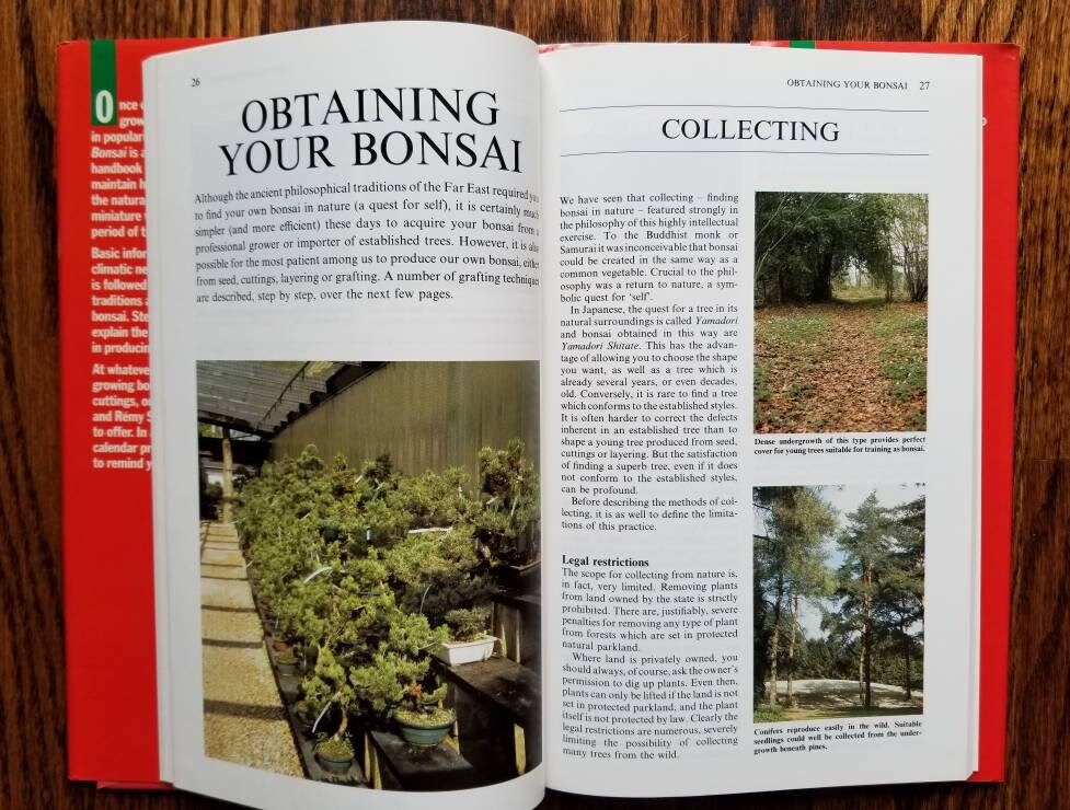 Vintage Bonsai care houseplant book Introducing Bonsai house plant