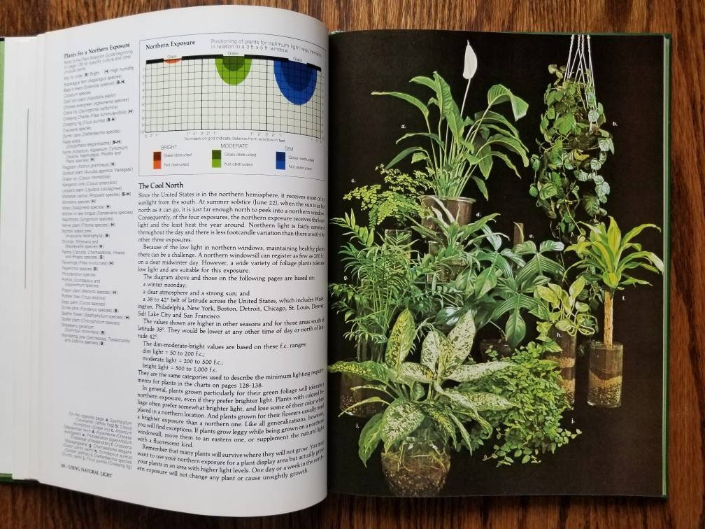 the little book of house plants and other greenery by emma sibley the little book of house plants and other greenery by emma sibley