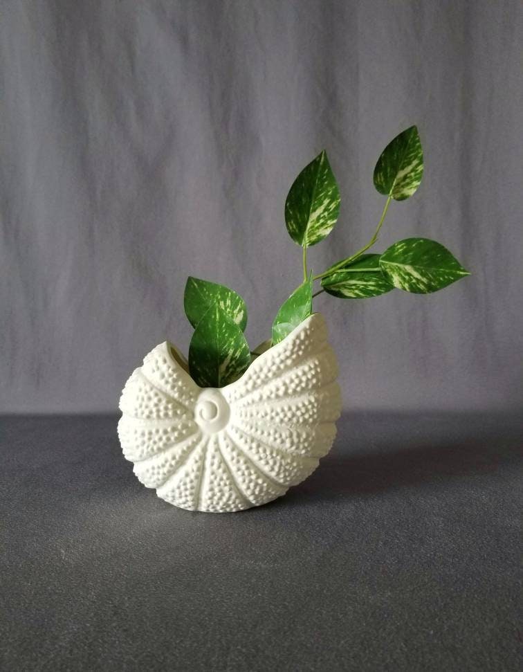 Vintage shell planter shell plant pot beach decor