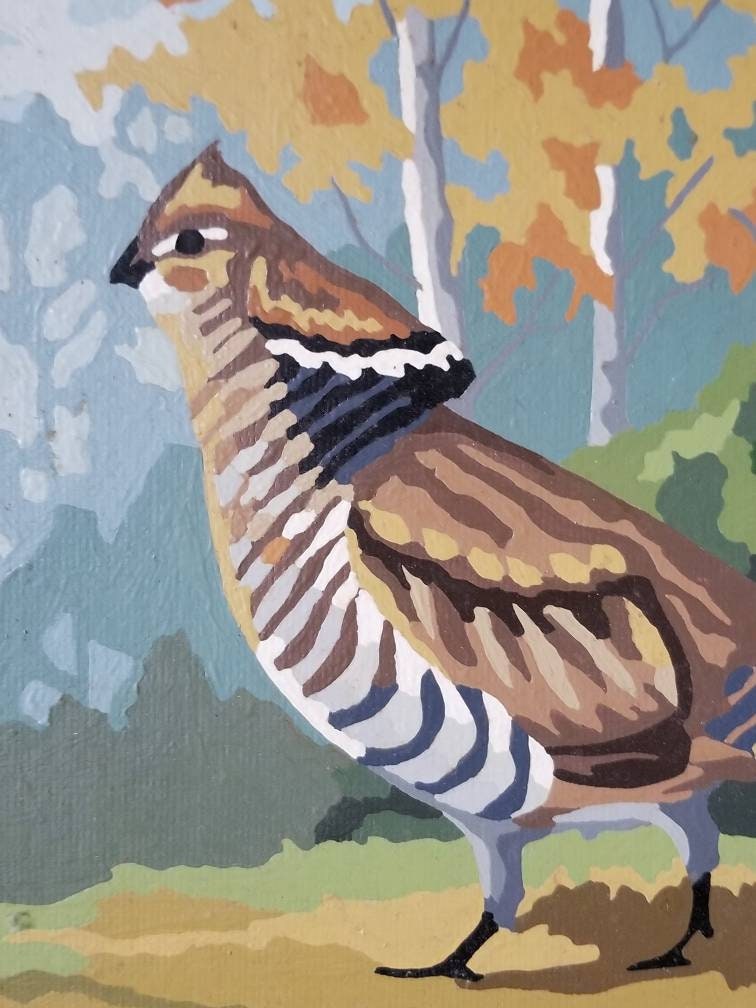 Vintage paint by numbers pbn bird art wall art kitschy