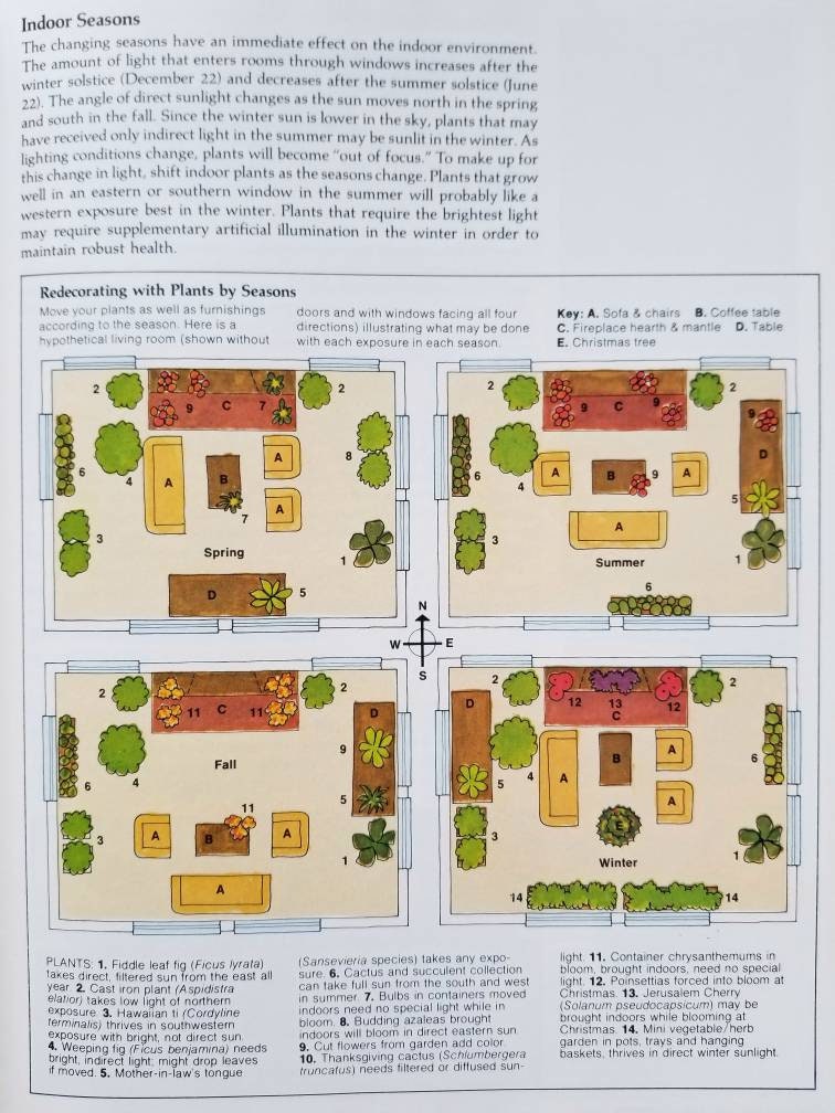 the little book of house plants and other greenery by emma sibley the little book of house plants and other greenery by emma sibley