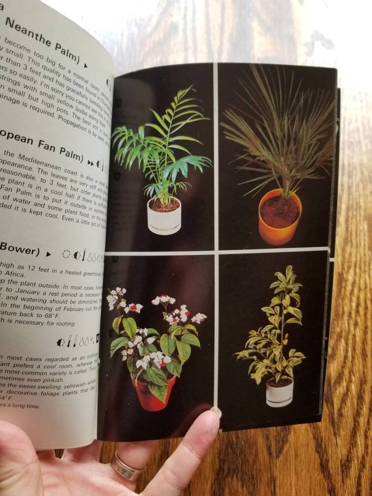Vintage houseplant books set of 3 Indoor Houseplants house plant