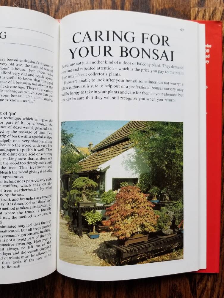 Vintage Bonsai care houseplant book Introducing Bonsai house plant