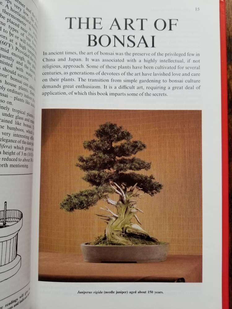 Vintage Bonsai care houseplant book Introducing Bonsai house plant