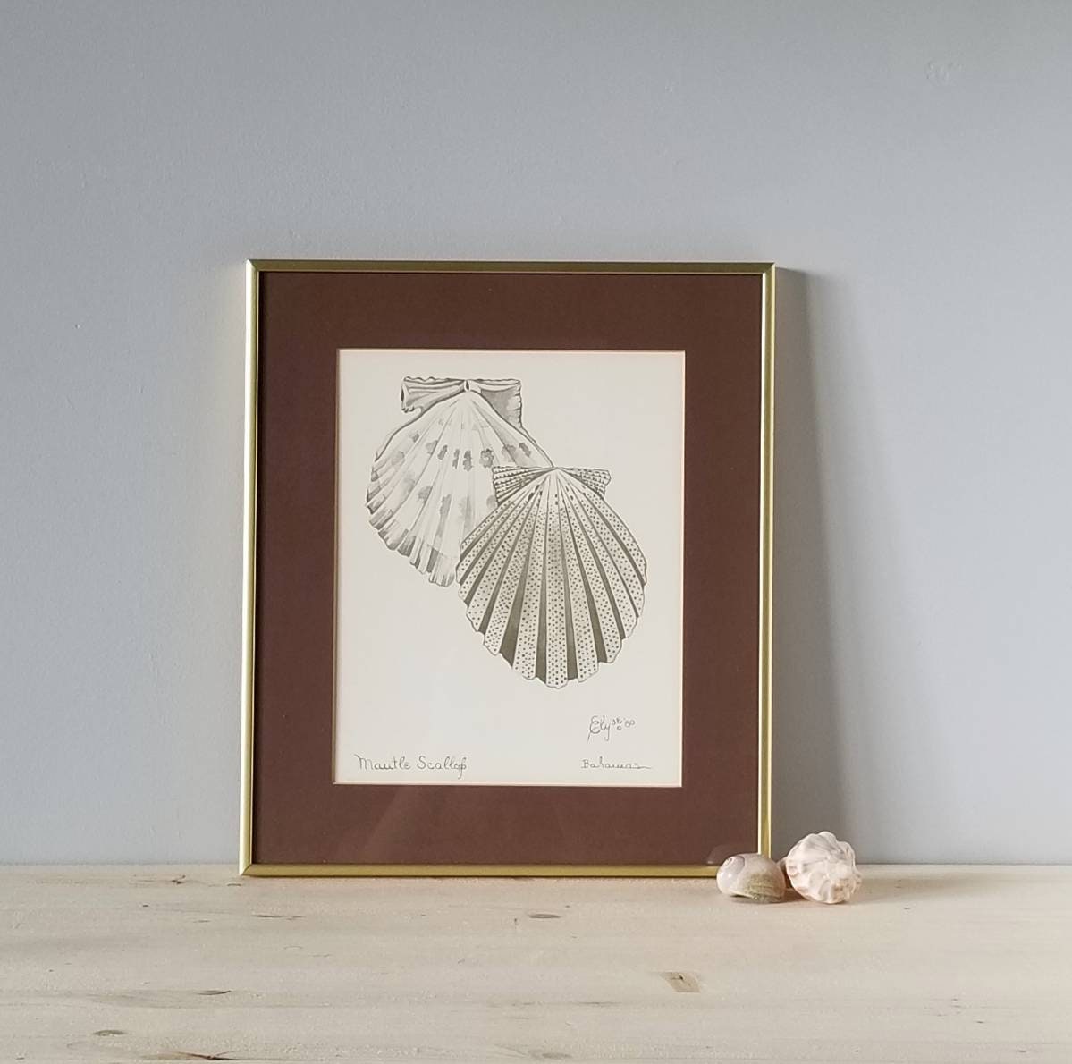 Vintage Seashell framed prints by Elyse Wasile shell art prints