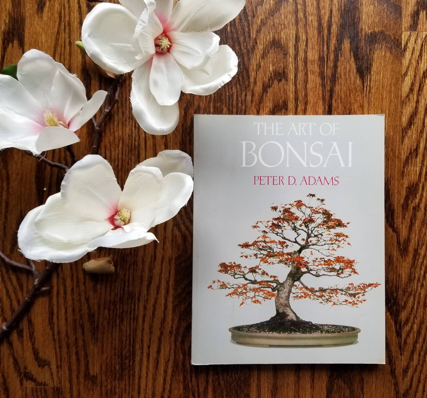 Vintage Bonsai care houseplant book The Art of Bonsai house plant