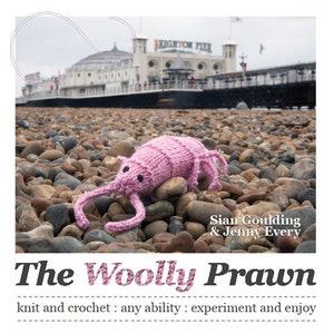 May include: A pink knitted prawn toy on a bed of pebbles. The toy has a detailed design and is sitting on a beach with a pier in the background. The text "The Woolly Prawn" is at the bottom of the image.
