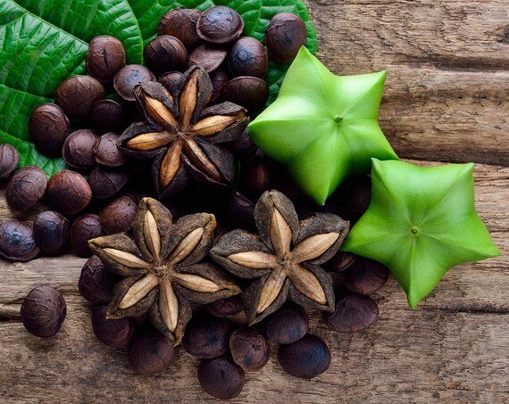 thumbnail image 2 of Food To Live Anise Seeds – Whole, Raw, Kosher & Vegan – 1lb (Packaging May Vary) 2 of 2