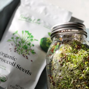 Semillas de brócoli orgánicas para germinar: sin transgénicos, veganas, kosher, aptas para la dieta Sirtfood y a granel. Ricas en sulforafano. Cultiva brotes para ensaladas y sándwiches. imagen 7