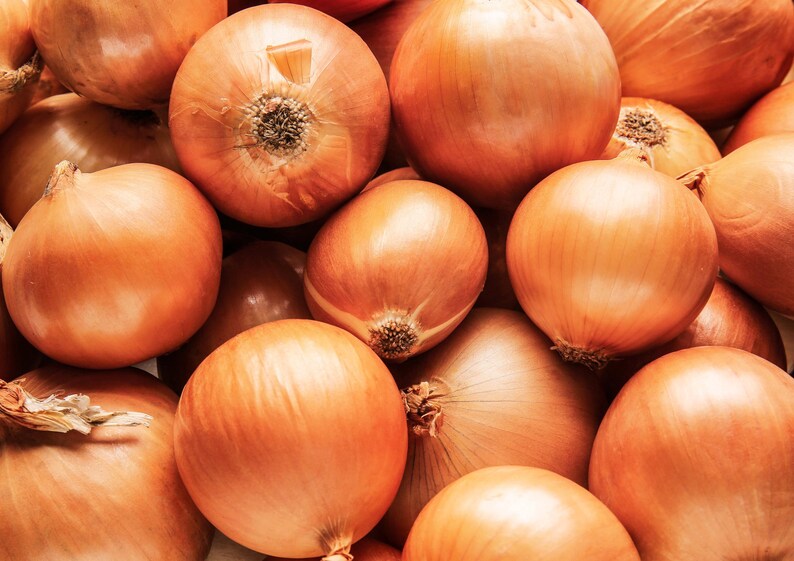 Cebolla en polvo – Cebollas secas finamente molidas, puras, veganas, a granel. Rico sabor a cebolla. Alto contenido en vitamina C y fibra dietética. imagen 8