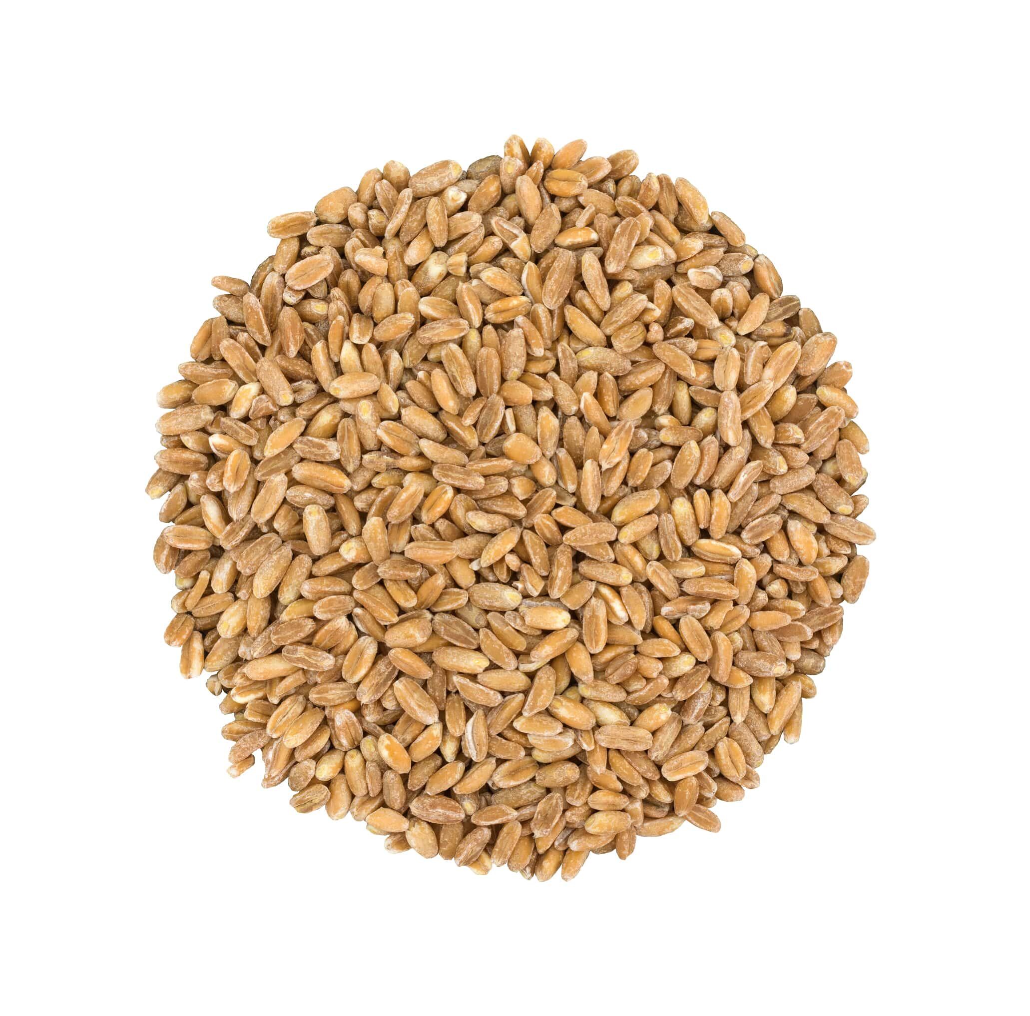 Pearled Farro Whole Grain – Kosher, Vegan, Bulk Size – Food To Live