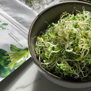 Semillas de brócoli orgánicas para germinar: sin transgénicos, veganas, kosher, aptas para la dieta Sirtfood y a granel. Ricas en sulforafano. Cultiva brotes para ensaladas y sándwiches. imagen 6