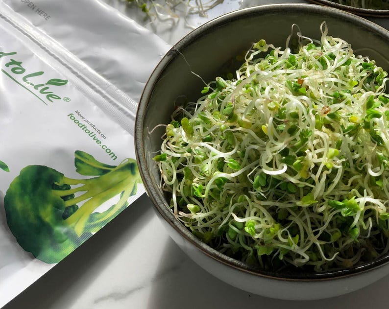 Semillas de brócoli orgánicas para germinar: sin transgénicos, veganas, kosher, aptas para la dieta Sirtfood y a granel. Ricas en sulforafano. Cultiva brotes para ensaladas y sándwiches. imagen 6