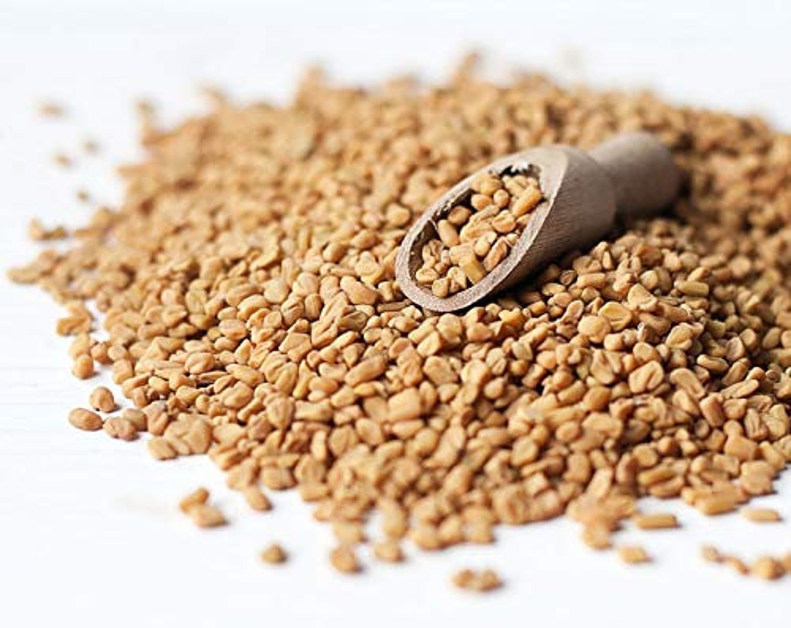 Fenugreek Seeds Whole Raw Sproutable Vegan Kosher Bulk Etsy