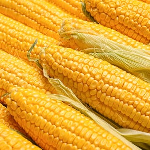 Organic Old Fashioned Cornmeal Coarse — Non-GMO, Whole Grain Corn Flour, Coarse, Kosher, Great for Baking Cornbread, Muffins image 8
