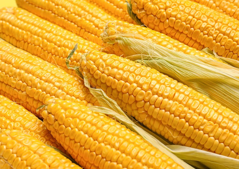 Organic Old Fashioned Cornmeal Coarse — Non-GMO, Whole Grain Corn Flour, Coarse, Kosher, Great for Baking Cornbread, Muffins image 8