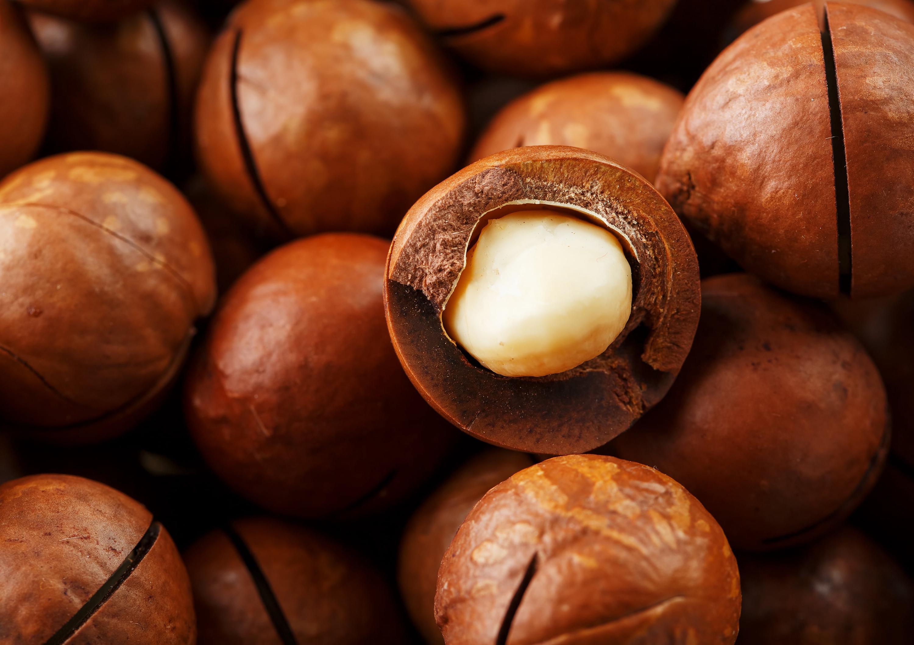 Dry Roasted Macadamia Nuts With Himalayan Salt – Oven Roasted Whole ...