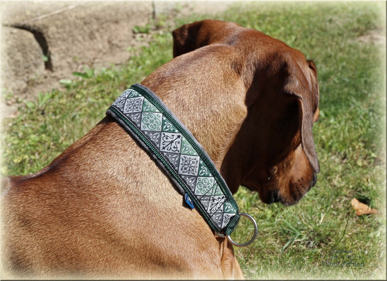 Collier MEDIVAL avec arrêt de train chien, collier pour chien Martingale image 6