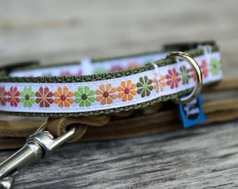 Dog or Cat Collar with click fastener, buckle, with different designs, widths and sizes