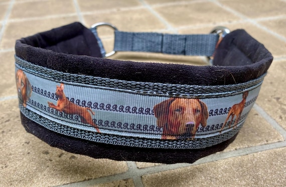 Halsband RHODESIAN RIDGEBACK mit Zugstopp fr deinen Hund, Hundehalsband  Martingale - Etsy sterreich