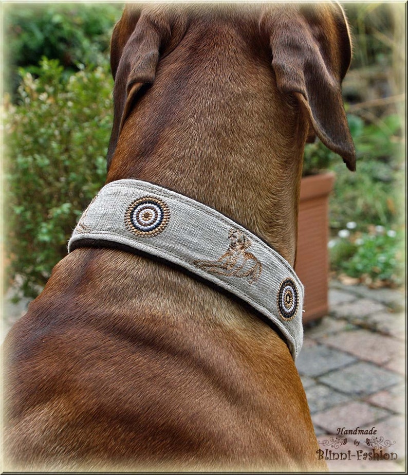 Halsband RHODESIAN RIDGEBACK mit Zugstopp für deinen Hund Etsy