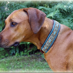 Collier MEDIVAL avec arrêt de train chien, collier pour chien Martingale image 3