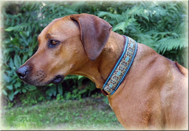 Collier MEDIVAL avec arrêt de train chien, collier pour chien Martingale image 3