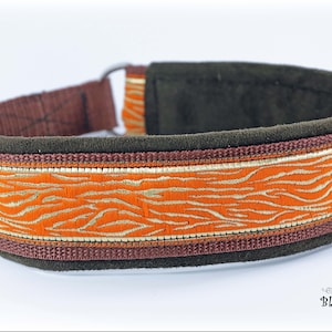 Dog collar, Martingale, with shiny ribbon in green or orange