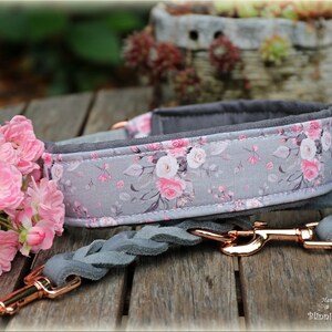 Dog collar, Martingale, romantic, light rose image 3