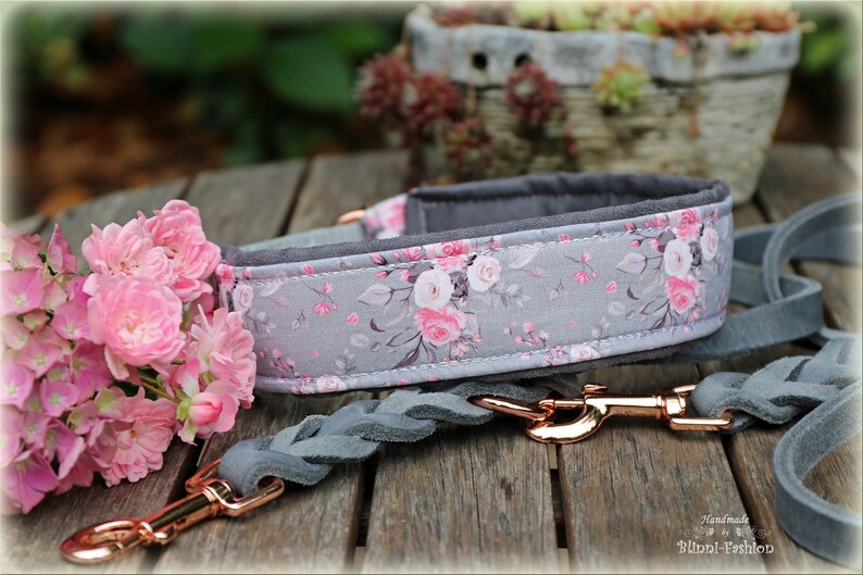 Dog collar, Martingale, romantic, light rose image 3