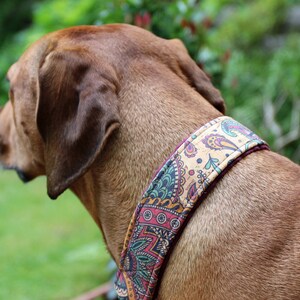 Halsband KORK mit Zugstopp, Hundehalsband mit tollen Mustern aus Korkleder, Hund, Martingale Bild 6